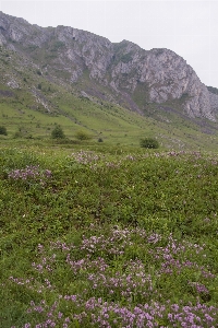 Landscape nature rock wilderness Photo