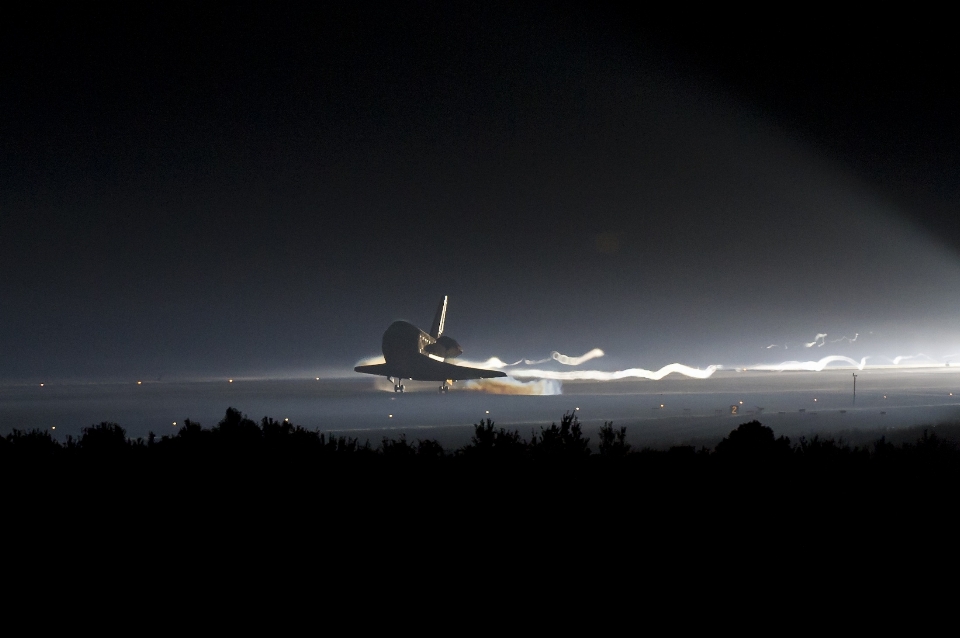 Nature horizon silhouette wing