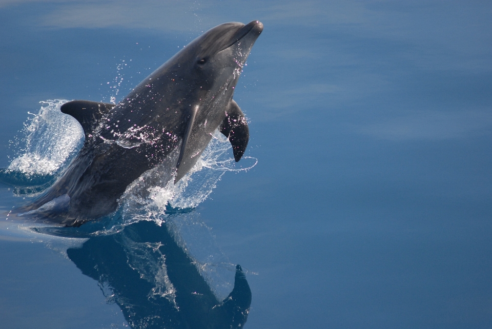 Meer wasser natur ozean