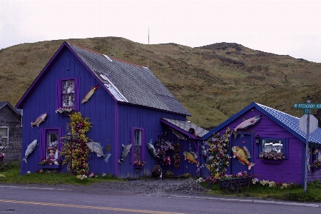 Foto Natura strada casa viola