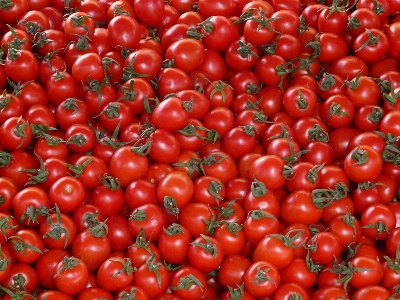 Foto Planta fruta flor alimento