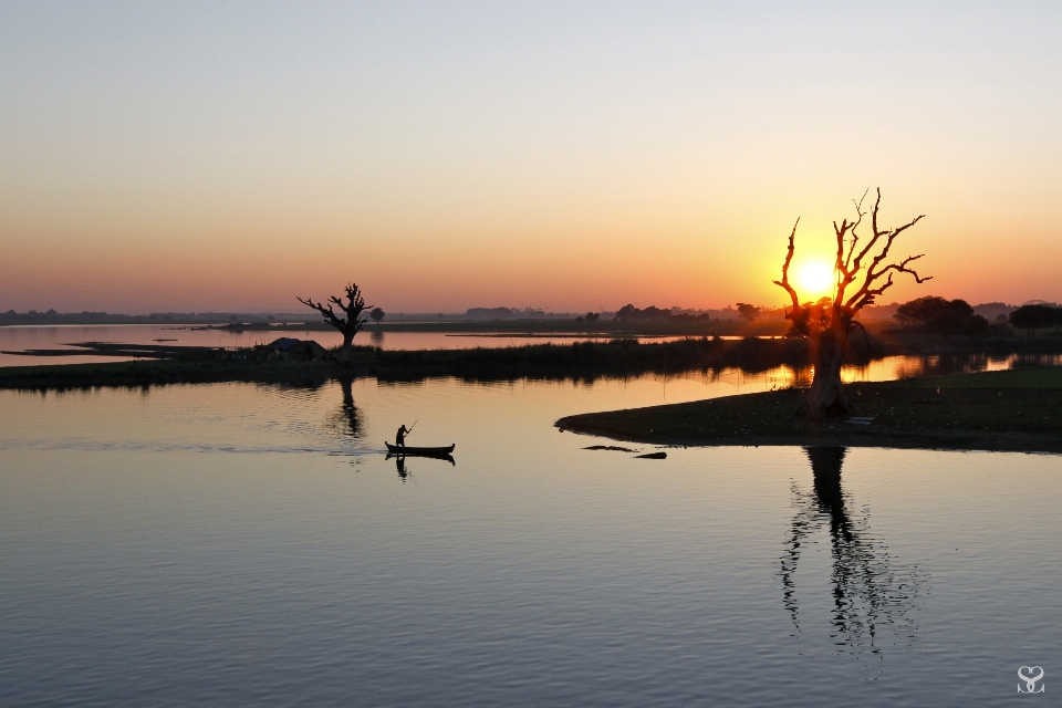 пейзаж море дерево вода