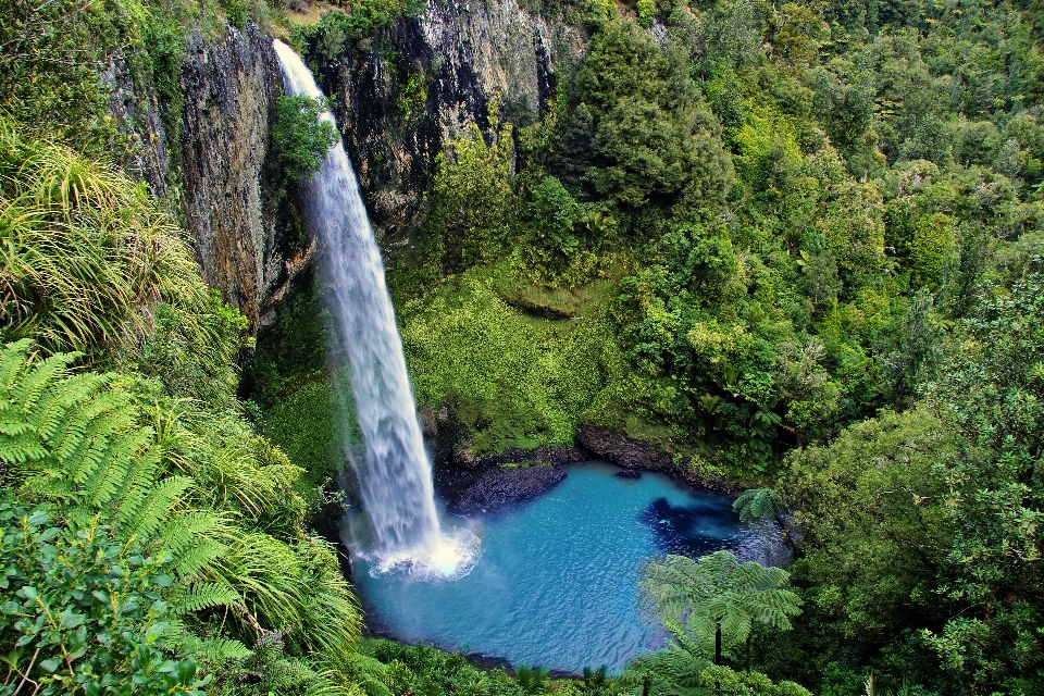 Nature forest waterfall stream