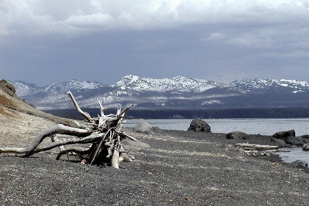 Landscape sea coast nature Photo