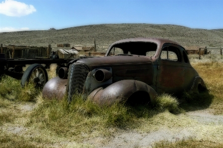 Car transport truck vehicle Photo