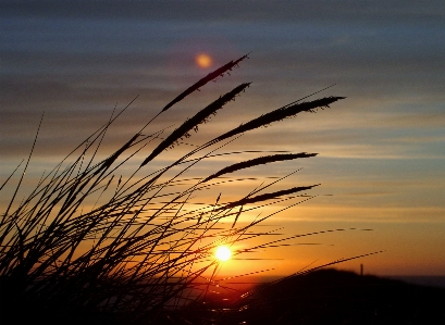 Foto Mar naturaleza césped horizonte