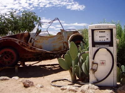 Cactus car old vehicle Photo