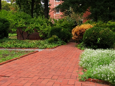 Landscape path pathway grass Photo