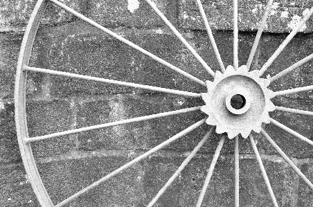 Photo Aile noir et blanc
 roue rond