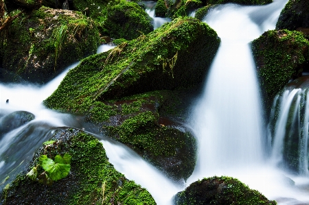 Zdjęcie Krajobraz drzewo woda natura