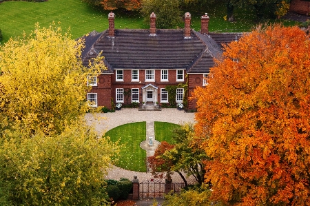 Tree architecture lawn mansion Photo