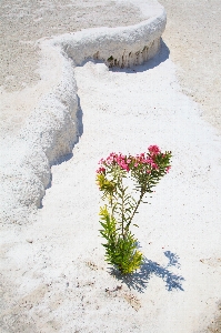 Beach sea coast water Photo