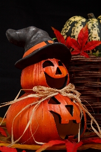 Leaf fall decoration orange Photo