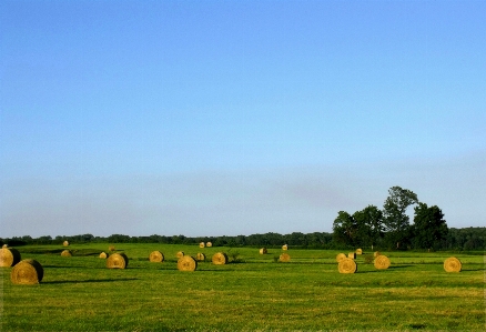 Nature grass outdoor horizon Photo