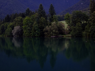 Landscape tree water nature Photo