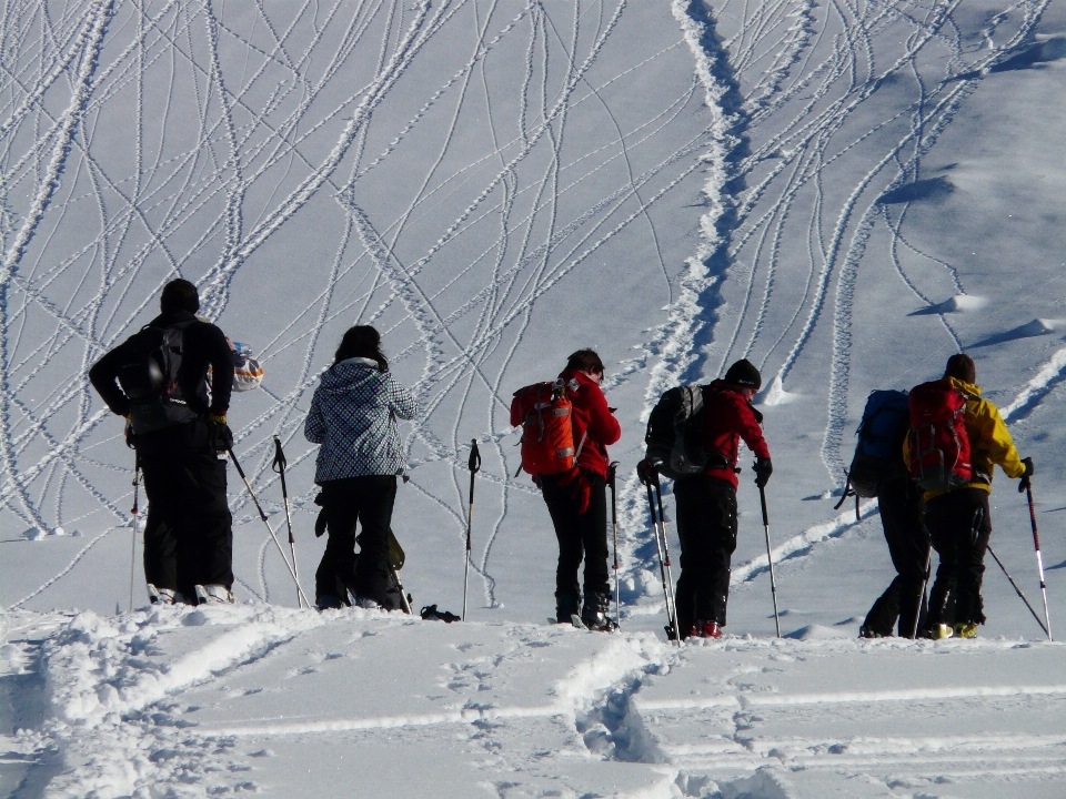 Nevicare freddo inverno gruppo