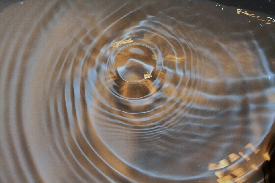 Wasser tröpfchen tropfen tau