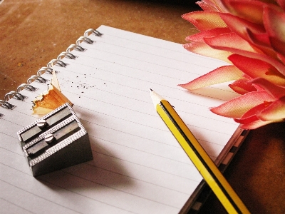 Notebook writing hand pencil Photo