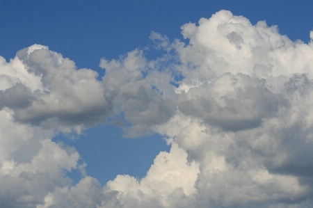 Cloud sky white cloudy Photo