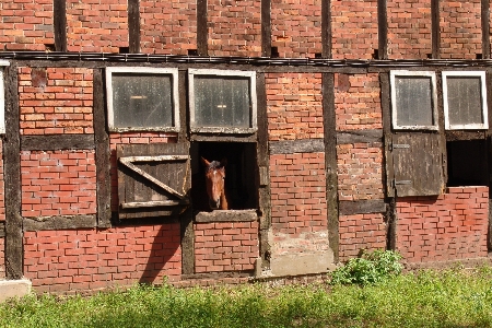 Wood farm house window Photo