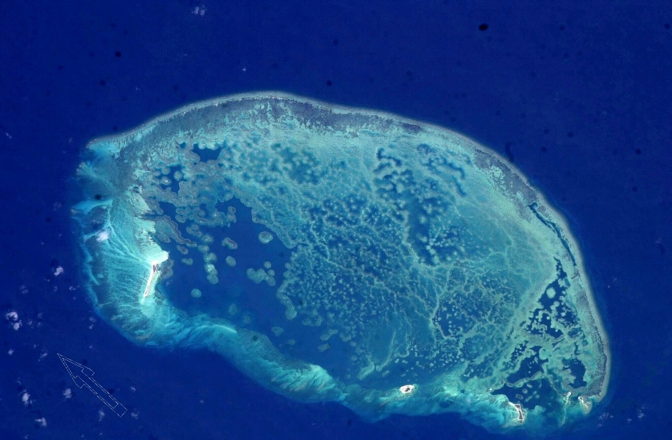 Laut air biologi pulau