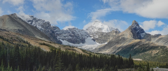 Forest wilderness mountain cloud Photo