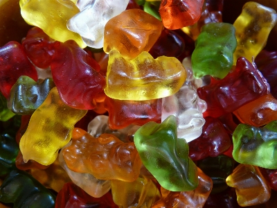 Sweet leaf glass bear Photo