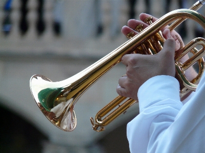 Music cute concert horn Photo