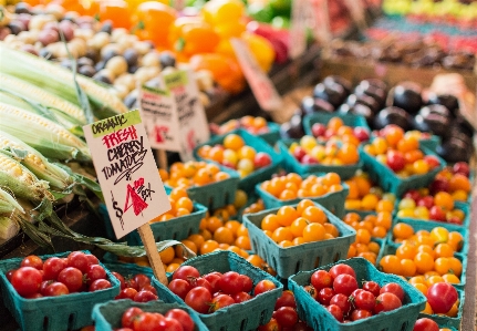 Plant fruit flower city Photo