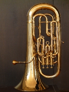 Play horn instrument chapel Photo