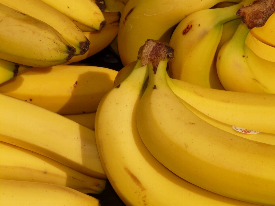 Anlage frucht essen produzieren