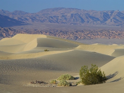 Landscape sand desert dune Photo