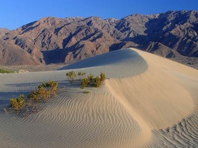 Landscape sand desert dune Photo