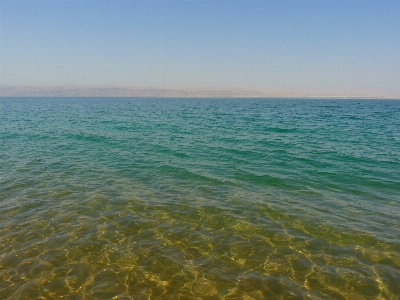 Beach sea coast ocean Photo