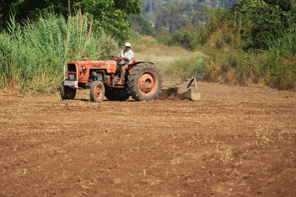 Trabajar hombre heno tractor