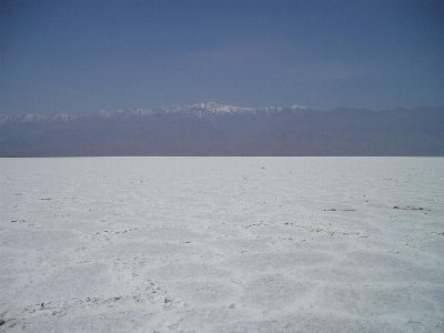 Beach sea coast sand Photo