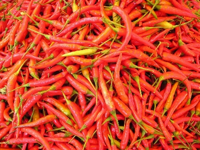 Sharp plant food chili Photo