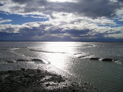 Beach sea coast water Photo