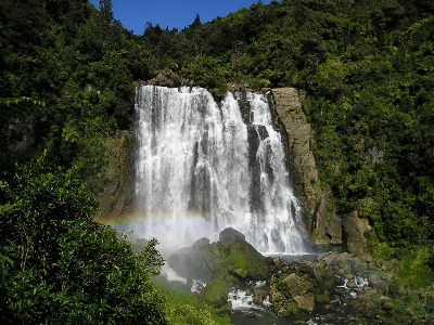 Foto Acqua natura cascata giungla