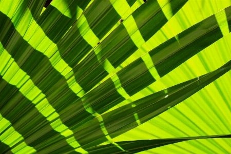 Nature forest grass outdoor Photo