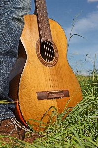 Foto Tangan rumput musik bidang