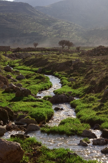 Paisagem árvore água natureza