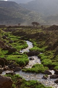 Landscape tree water nature Photo