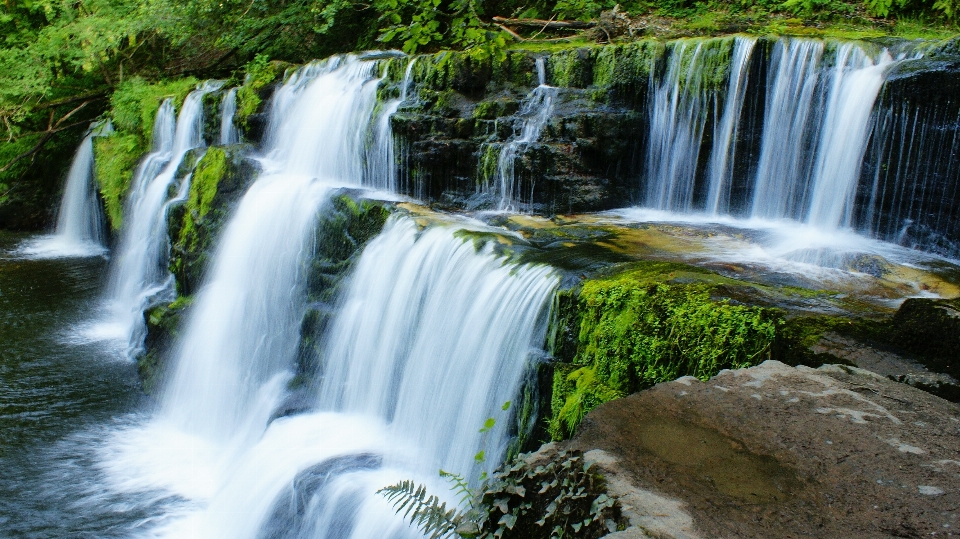 Landscape water nature forest