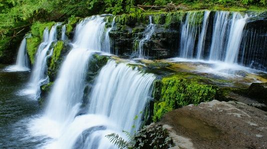 Landscape water nature forest Photo