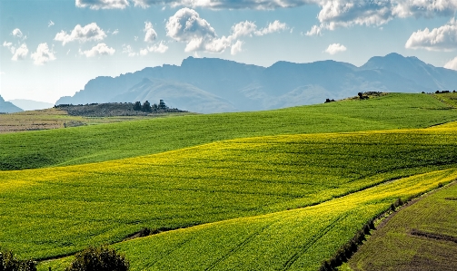 Landscape nature grass horizon Photo