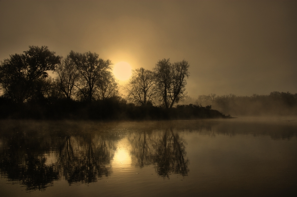 Landscape tree water nature