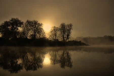 Landscape tree water nature Photo