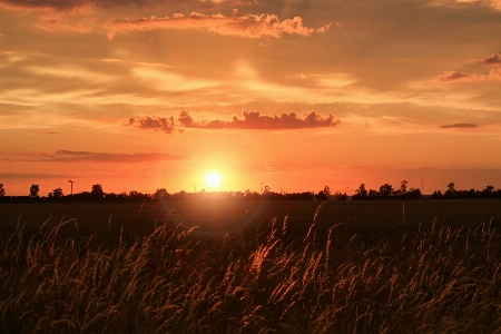 Nature grass horizon cloud Photo