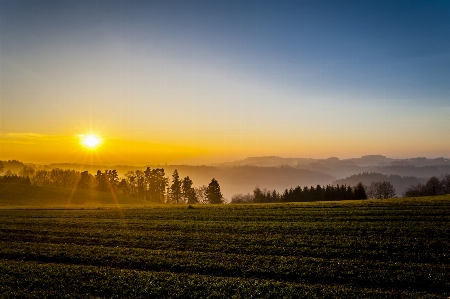 Landscape nature forest horizon Photo